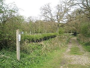 Start of footpath to Trotton Common - geograph.org.uk - 778718