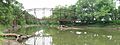 Tarter-ferry-rd-bridge fulton-county-illinois