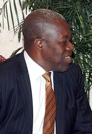 The Vice President of Ghana, Mr. Kwesi Amissah, 2014 (cropped).jpg