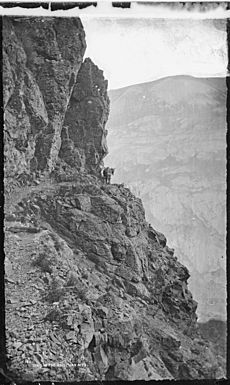 Trail in the San Juan Mountains. Cunningham Gulch. Colorado - NARA - 517106