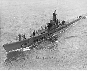 USS Sea Owl;0840501
