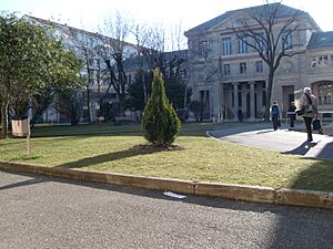 Univ-lyon2-berges-fugier2008-01-25 01