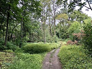 Walking trail, Roberts Bird Sanctuary.jpg