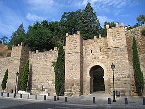 Wall near Puente de Alcantara, Toledo