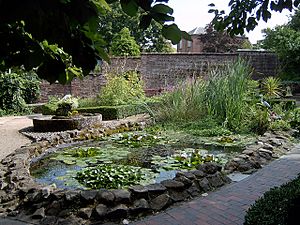 Walled Garden, Bewdley Museum - geograph.org.uk - 1153351