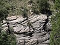 Walnut Canyon coconino