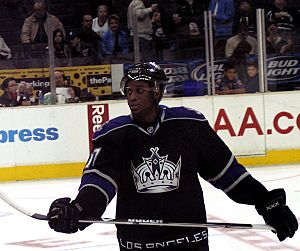 Los angeles kings wayne simmonds hi-res stock photography and images - Alamy