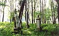 Wehrum Cemetery