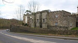 Willsbridge Castle