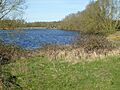 Wilson's Pits 4
