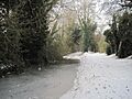 Wilts & Berks Canal Grove