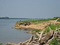 Yankeetown Site