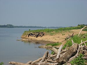 Yankeetown Site