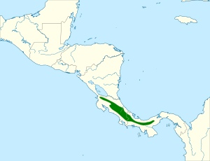 Zentrygon chiriquensis map.svg