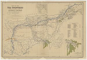 Zones de théiculture de l'Assam, 1873