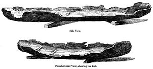 0057-Ancient-British-Canoes-q75-500x225