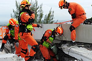 2010년 중앙119구조단 아이티 지진 국제출동100119 몬타나호텔 수색활동 (454)