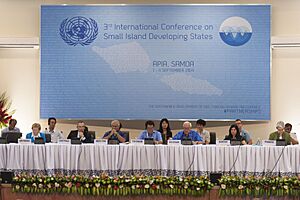 2014 Small Island Developing States meeting in Samoa