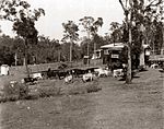38 Piddington St, St Johns Wood, Ashgrove, Brisbane Ekka Wednesday 1938