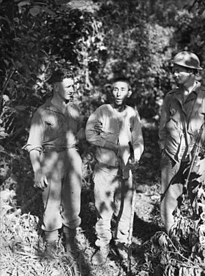 AWM 027085 Japanese prisoner captured near Menari