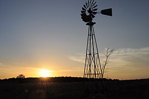 Aermotor Windmill, Texas, 2010