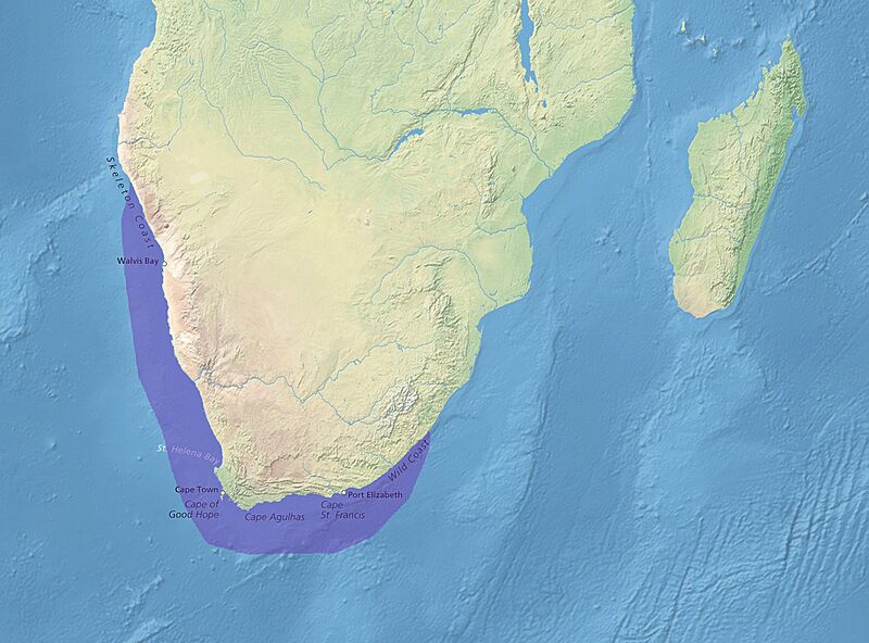 African penguin distribution en