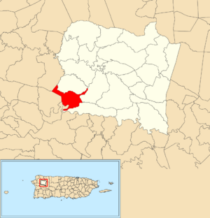 Location of Alto Sano within the municipality of San Sebastián shown in red