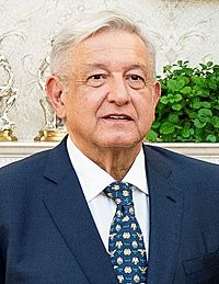 Andrés Manuel López Obrador 2020.jpg
