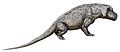 Anteosaurus magnificus