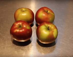 Apples for apple butter