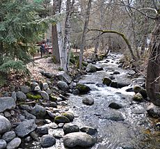 Ashland Creek (Ashland, Oregon)