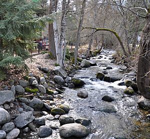 Ashland Creek (Ashland, Oregon).jpg