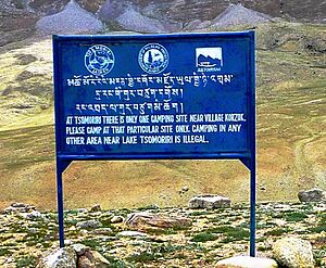 At Tsomoriri there is only one camping site. Sign at Tso Moriri. 2010