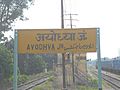 Ayodhya 100 (28)