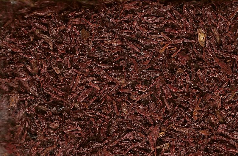 Baby chapulines