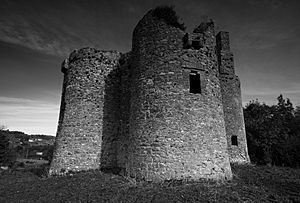 Ballinafad Castle, Co. Sligo, Ireland