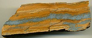 Banded iron formation (BIF) (Lower Middleback Iron-Formation, Paleoproterozoic, 1.81 or 1.859-1.945 Ga; hillslope 3 km west of Iron Duke Mine, South Middleback Range, Eyre Peninsula, South Australia) 2 (15059380105)