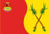 Flag of Ejido