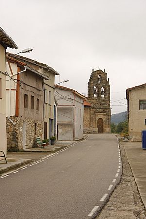 View of Bascuñana, 2010