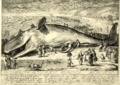 Beached Whale - Jacob Matham 1602