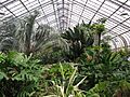 Brookside Gardens in June (18595872359)