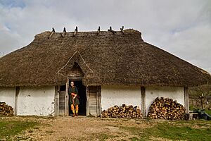 Butser Ancient Farm Saxon Hall with re-enactor 