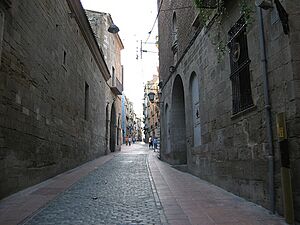 Calle Caballeros de Lleida