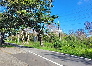 Carretera PR-6681, Arecibo, Puerto Rico