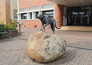 Casterton Kelpie Monument 001