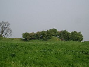 Castle mound at Laxton, Nottinghamshire - geograph.org.uk - 166634