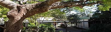 Chevallum State School, gardens and buildings, 2013.jpg