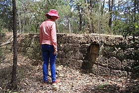 Convict-built stone embankment, St Alban's Road Ramp, NSW