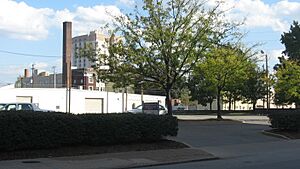 Cornwall and Brown Houses site