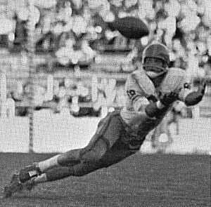 Ditka1960Crop Owl61pg183